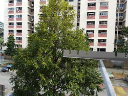 Blk 107 Bedok North Road (Bedok), HDB 3 Rooms #152124582
